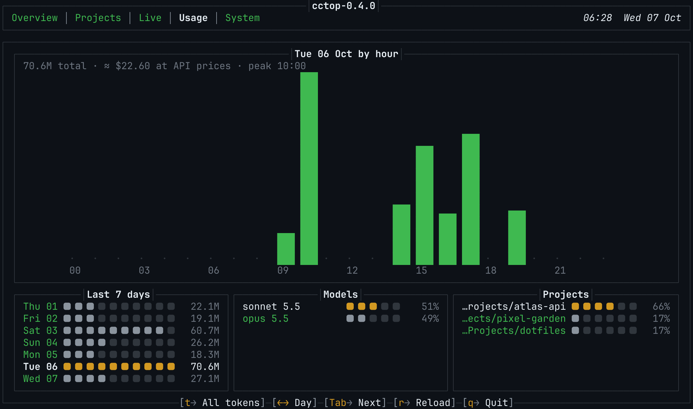The Usage tab: a bar chart of tokens by hour for one day, with the last seven days, the share per model and the share per project below it.